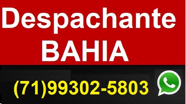 Despachante na bahia